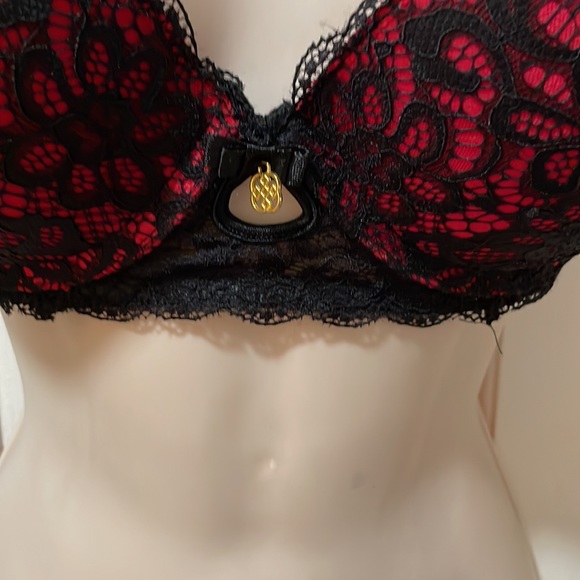 Daisy Fuentes - Picture 2 of 6